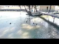 Duck Pond Copperas Cove City Park