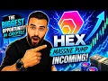 EVERYONE GAVE UP ON HEX BIG MISTAKE