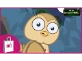 Download Lagu I'm an Owl