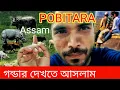 Download Lagu pobitora wildlife sanctuary vlog | Rhino OF POBITORA | পবিতরা গন্ডার দেখতে আসলাম