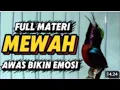 Download Lagu Bongkar materi Kolibri ninja gacor full isian mewah,masteran konin unik #koningacor
