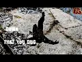 Lamb of God - Ditch (Official Lyric Video)