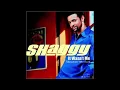 Shaggy - It Wasn't Me (1 Hour)