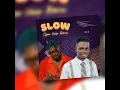 Lagu Swid Official - SLOW (Official Audio Visualizer)
