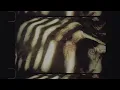 Ed Maverick - El Fuego En El Cielo (MASTER 1) (Lyric Video)