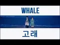 [SUB ITA / ENG / HAN / ROM] AKMU - Whale | 고래