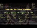 Just x86 asm and shellcoding