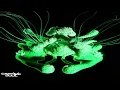 Korolova & Julia Sanina - Higher Calling [Extended Mix]