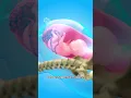 Download Lagu What Really Happens During Normal Delivery 😱 #pregnancy #viralvideo - Creativelearning3d