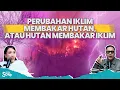 LIVE - detikSore Bisnis Ala Gen Z Dari Uang Saku Jadi Cuan