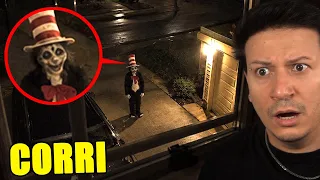 HANNO AVVISTATO IL GATTO COL CAPPELLO…