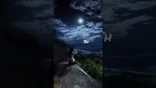 ما أجمل السهر تحت ضوء القمر وفي ليل العاشقي Sh 