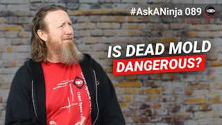 Is Dead Mold Dangerous Dead and Dormant Mold FAQs