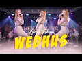 Download Lagu Ajeng Febria - WEDHUS (Official Music Video ANEKA SAFARI)
