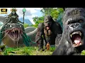Download Lagu King Kong vs Monsters Full Movie | Legendary Epic Battle in 4K Ultra HD