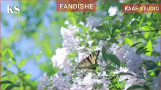 best manzuuaa fandishee