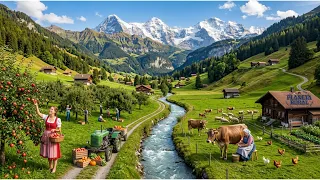 A Vida Simples nas Aldeias Isoladas da Suíça — Paz, Natureza e Tradição nos Alpes