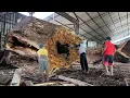 Download Lagu Een gruwelijk incident 40 minuten na het zagen van de kop van een regenboom