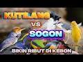 Download Lagu SUARA PIKAT KUTILANG VS SOGON PALING GANAS ANTI ZONK BIKIN RIBUT DI KEBUN