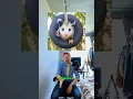 Opossums Rabies