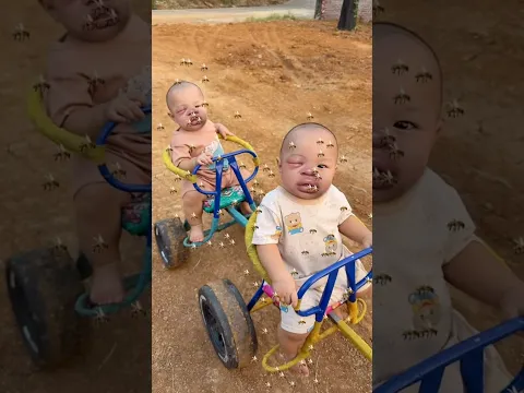 Chông Em Cho Mẹ Mà Để Ong Đốt...!