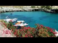 Download Lagu Wildflowers in the Western Mediterranean | Chris Thorogood
