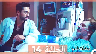 مسلسل نبضات قلب الحلقة 14 