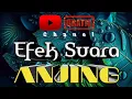 Download Lagu Efek Suara Anjing