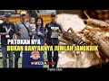 Download Lagu pemberian  jangkrik yang tepat sesuai kondisi murai