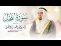 Download Lagu 16 - سورة النحل من #محراب_البيت رمضان ١٤٤١ هـ