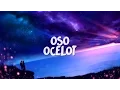 Download Lagu Kiiara - Feels (Jai Wolf Remix)