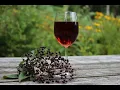 ELDERBERRY WINE - Wednesday | DRUM COVER