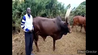 Mayikusai Ujumbe Wa Nziku Jane Videos Music Prd Magigiwe Studio Usiache Kutazama Kalisana Utafulahia 