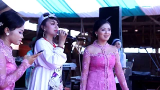 Download KONCO TURU - JIHAN AUDY -  QASIMA MAGELANG LIVE BPK. PETINGGI BALONG JEPARA MP3