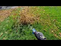 kobalt 40 volt backpack leaf blower part 4