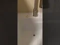 Project Source Utility tub