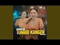 Download Lagu Tombo Kangen