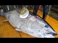 Download Lagu $10,000 Giant bluefin tuna cutting in Taiwan, Luxurious sashimi / 鋒利的刀！巨大黑鮪魚切割技巧, 奢華黑鮪魚金三角