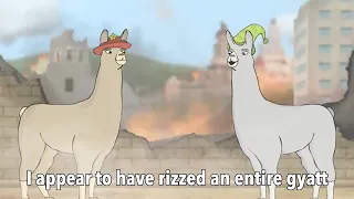 Llamas with Gyatts 3