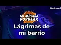 Lágrimas de mi Barrio - Cornelio Reyna - Con Letra (Video Lyric)