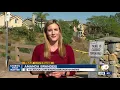 Boy attacked by mountain lion in San Diego's Los Peñasquitos Canyon