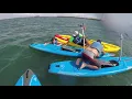Mysterious Powers of Manatee Knocks Family off Peddle Boards