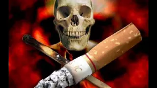 اغاني موشي كوهين الجديد 