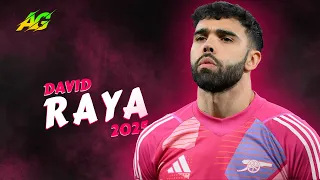 David Raya 2024 25 Best Saves Skills HD 