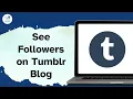 How to See Followers on Tumblr Blog