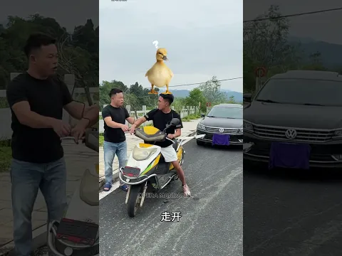 Pria ini sok jago sampai akhirnya  #videolucu #komedi