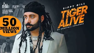 tiger alive full hd sippy gill western pendu punjabi songs 2019 jass records