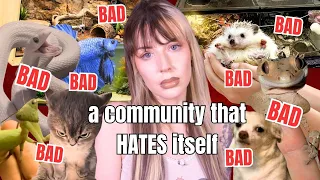 The Animal Community Hates Itself