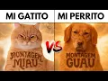Montagem Miau vs Montagem Guau (Ay Mi Gatito Miau vs Ay Mi Perrito Guau)