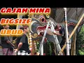METAKSU GAJAH MINA BIGSIZE KARYA SENIMAN UBUD||| NGABEN MASAL PANESTANAN UBUD 2022